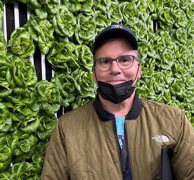 Picture of John standing in front of a green wall of leaf lettuce plants